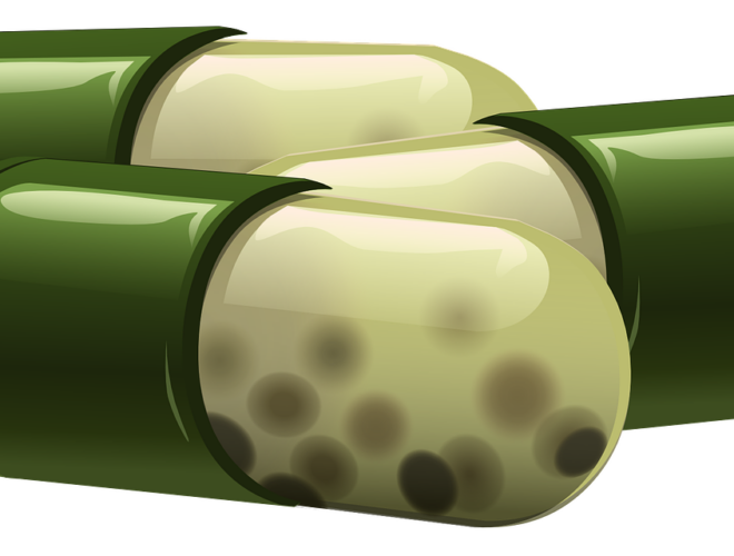 alimentos funcionales, omega-3, probiotícos, prebioticos
