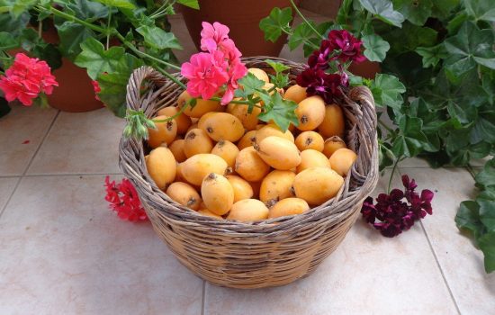 Alimentos de temporada, el níspero, el nispero,frurtas de mayo, verduras del mayo, alimentación sostenible, alimentos ecológicos