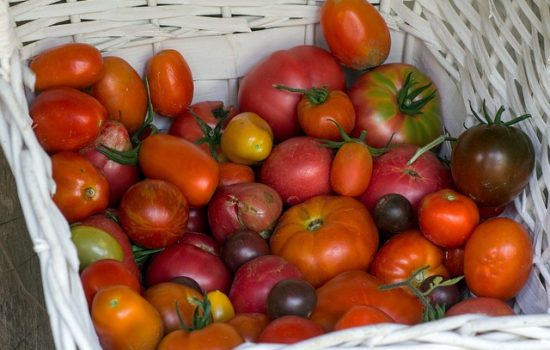 Alimen tos ecológicos, salud, alimentación sostenible, dieta saludable