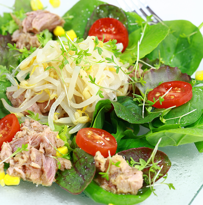 Dieta de prevención cardiovascular. Dieta Mediterránea, dieta saludable, dietas online, dietista online