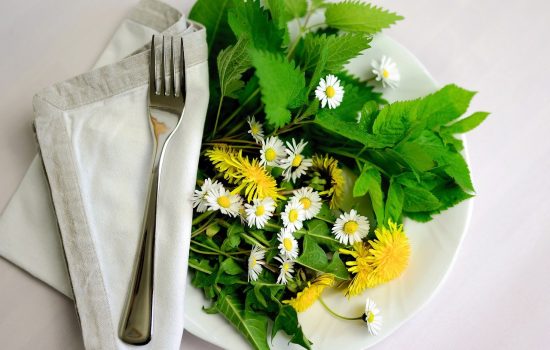 fitoterapia, fitoterapia para adelgazar, complementos alimenticios, dieta saludable, dietas online, dietista online