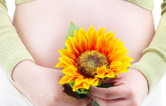 Alimentación durante el embarazo, dieta embarazada, dieta para embarazo comer bien durante el embarazo