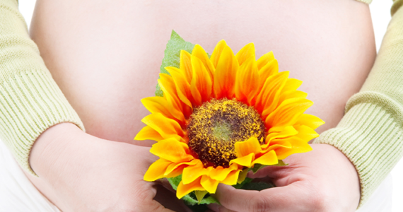 Alimentación durante el embarazo, dieta embarazada, dieta para embarazo comer bien durante el embarazo