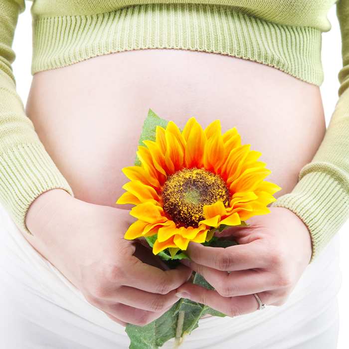 Alimentación durante el embarazo, dieta embarazada, dieta para embarazo comer bien durante el embarazo