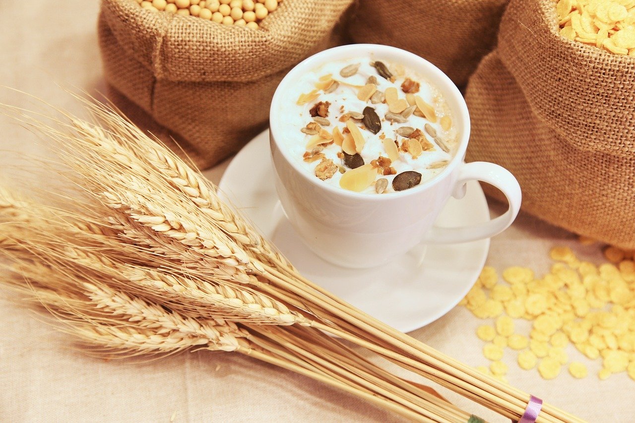 gluten, dieta sin gluten, celíaco, celiaco, dieta para celiacos, dieta online para celíacos
