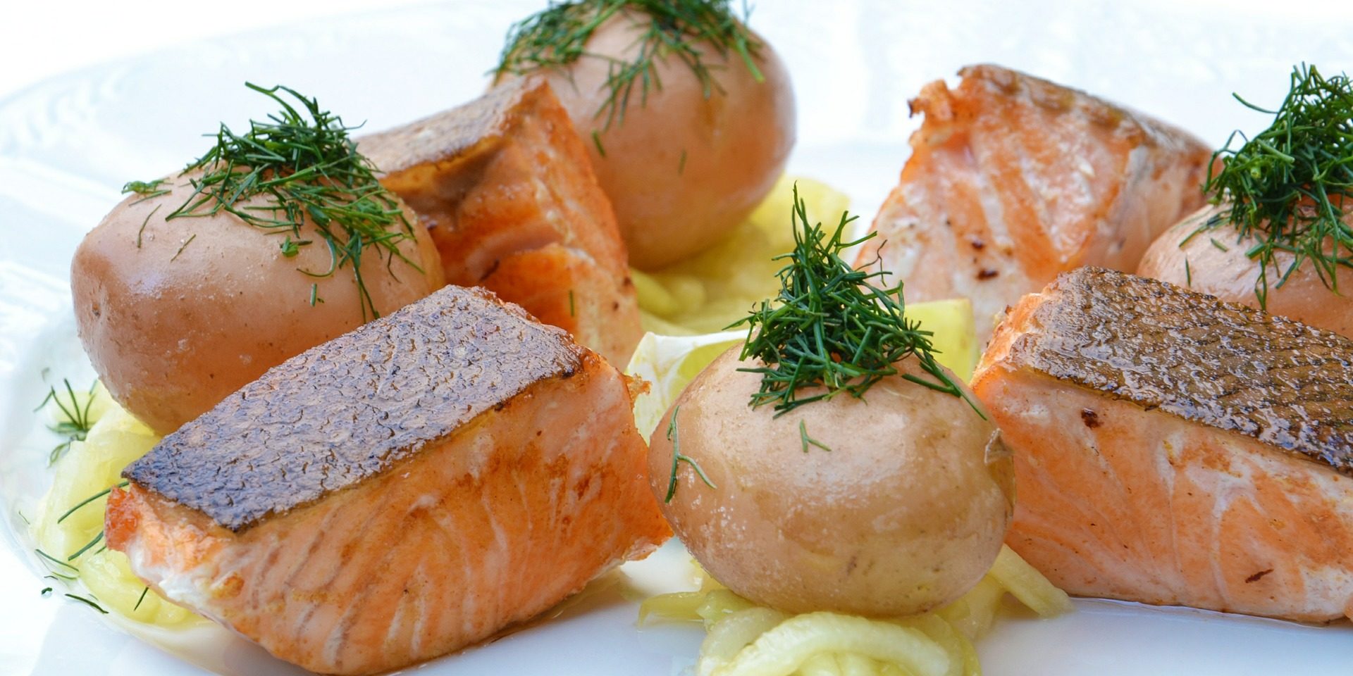 proteínas, proteínas de origen animal, proteínas de origen vegetal, músculo, crear músculo