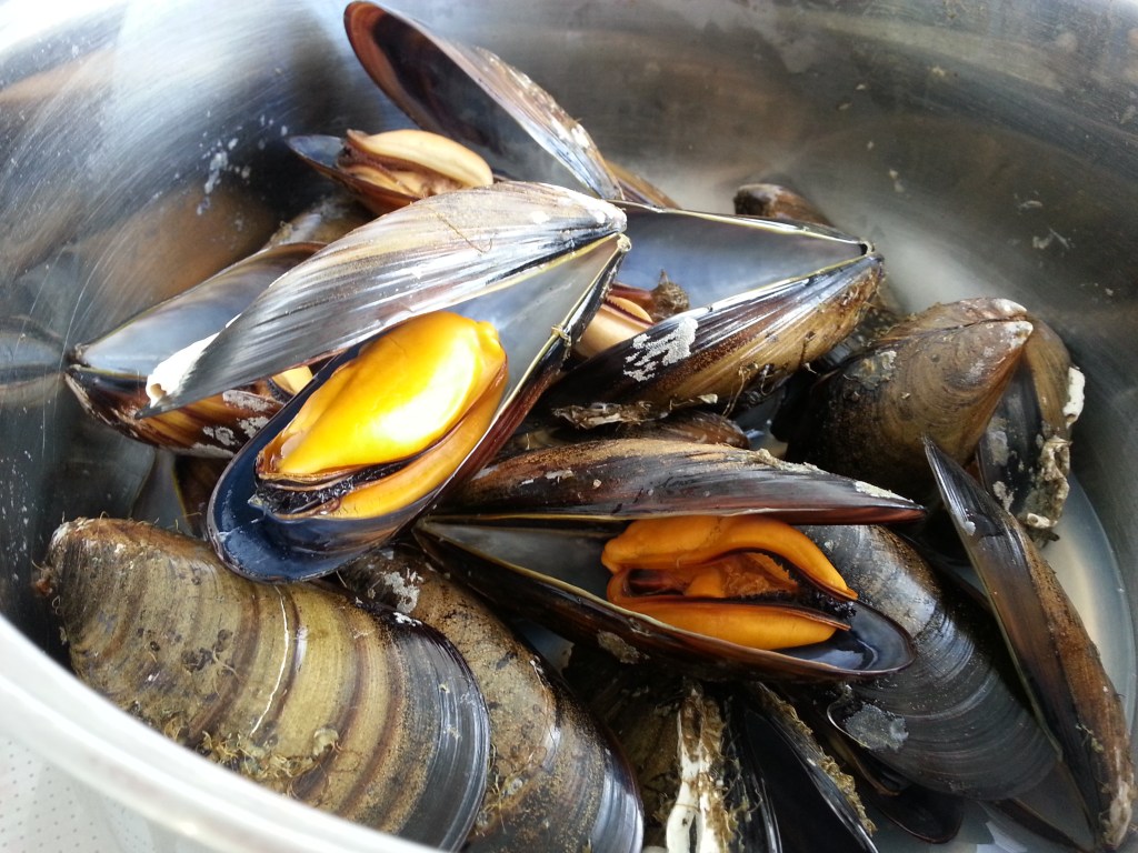 Mejillones con pipirrana Mejillones con pipirrana, recetas de pescado, recetas light, recetas para adelgazar, comer bien,