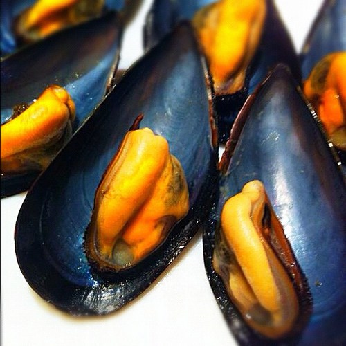 Mejillones con pipirrana Mejillones con pipirrana, recetas de pescado, recetas light, recetas para adelgazar, comer bien,