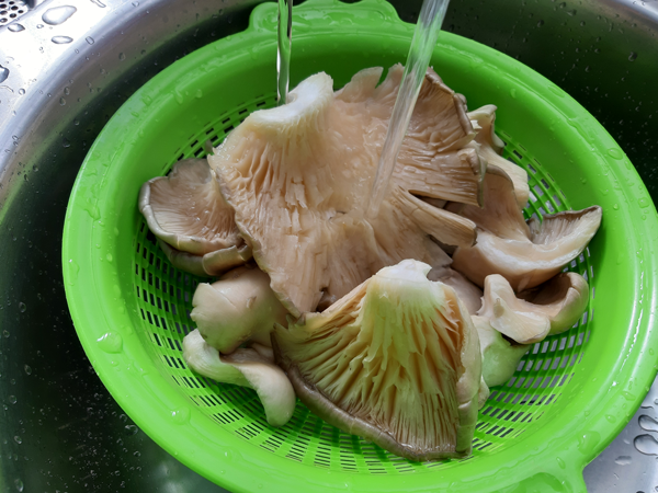 revuelto de setas, recetas para adelgazar, recetas light.