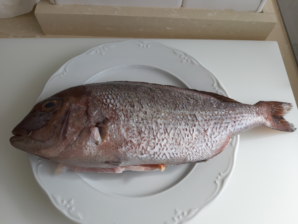Dorada a la sal- pescado a la sal, recetas de ensaladas, recetas para adelgazar, recetas light