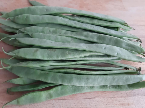 saladilla de judías verdes,Ensalada de judías verdes, recetas de ensalada, recetas light, recetas para adelgazar, dietista online, dietas online,