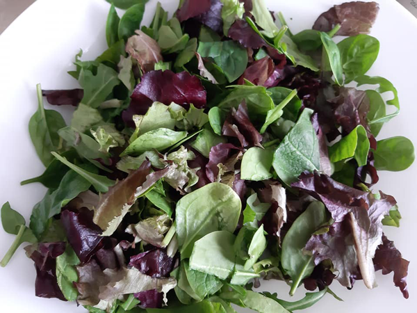 Ensalada de pera y beicon con aliño de mostaza Ensalada de pera y beicon con aliño de mostaza, recetas de ensalada, recetas light, recetas para adelgazar, dietista online, dietas online