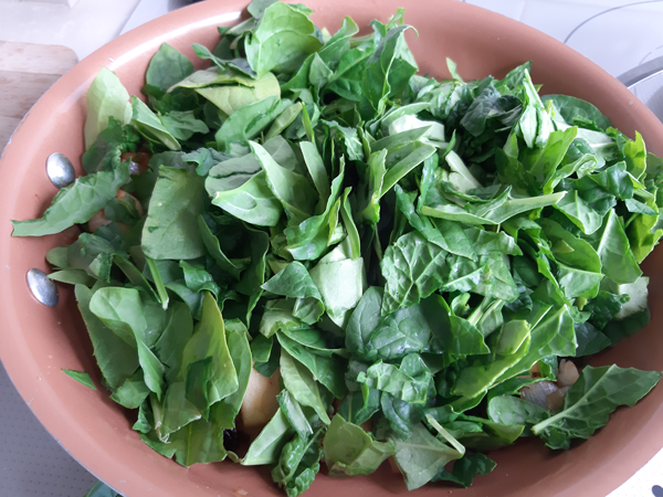 Ensalada templada de espinacas,r