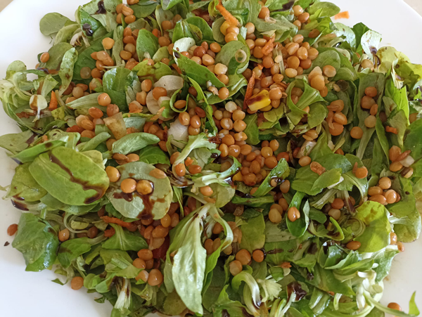 Ensalada de lentejas con maíz4877887049393496_n Ensalada de lentejas con maíz,Ensalada de lentejas con maíz,Ensalada de lentejas con maíz, recetas de ensaladas, recetas para adelgazar, recetas light, recetas saludables, dietas online, dietista online