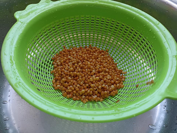 Ensalada de lentejas con maíz,Ensalada de lentejas con maíz,Ensalada de lentejas con maíz, recetas de ensaladas, recetas para adelgazar, recetas light, recetas saludables, dietas online, dietista online