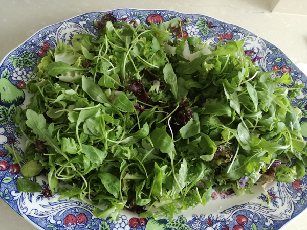 dietas online, dietista online, queso feta, ensalada griega, recetas, recetas de ensalada