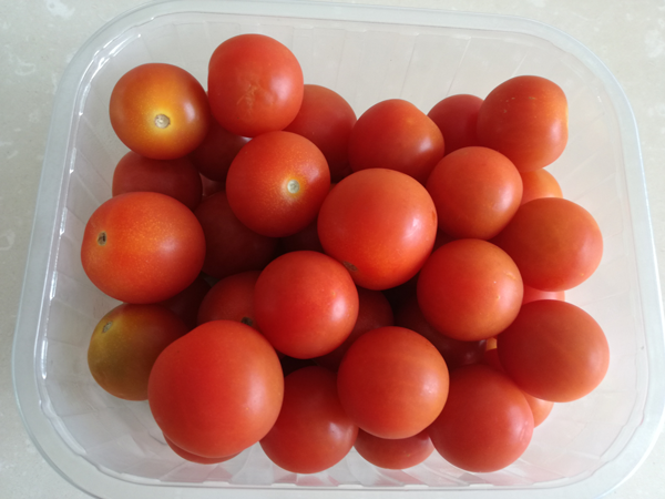 Ensalada templada de setas, Ensalada de judías verdes, recetas de ensalada, recetas light, recetas para adelgazar, dietista online, dietas online