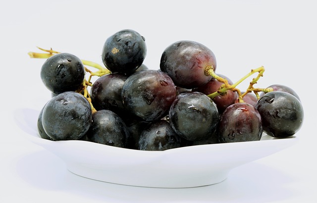 grape-gb3781d9b6_640