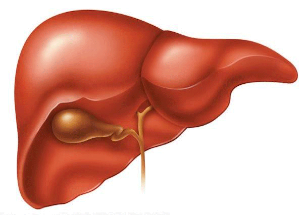 Alimentación e insuficiencia hepática, transplante, dieta para transplante, transplante de hígado