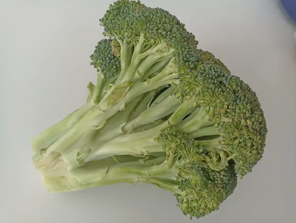 Humus de brócoli, recetas para adelgazar, recetas light, recetas de verdura, tentempies light