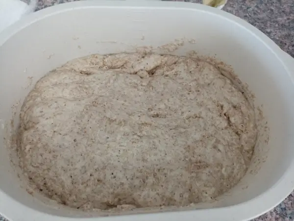 Pan casero de masa madre semi integral Pan casero de masa madre semi integral, pan de masa madre, pan semi integral, pan casero