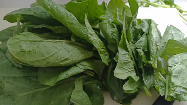 garbanzos con espinacas, recetas de legumbres, recetas de garbanzos