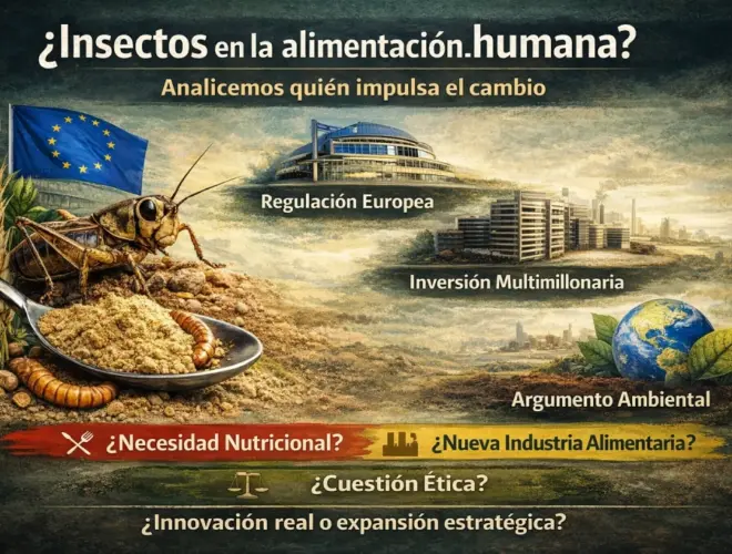 Insectos en la alimentaci&oacute;n humana: regulaci&oacute;n europea, inversi&oacute;n multimillonaria y debate sobre la nueva industria alimentaria